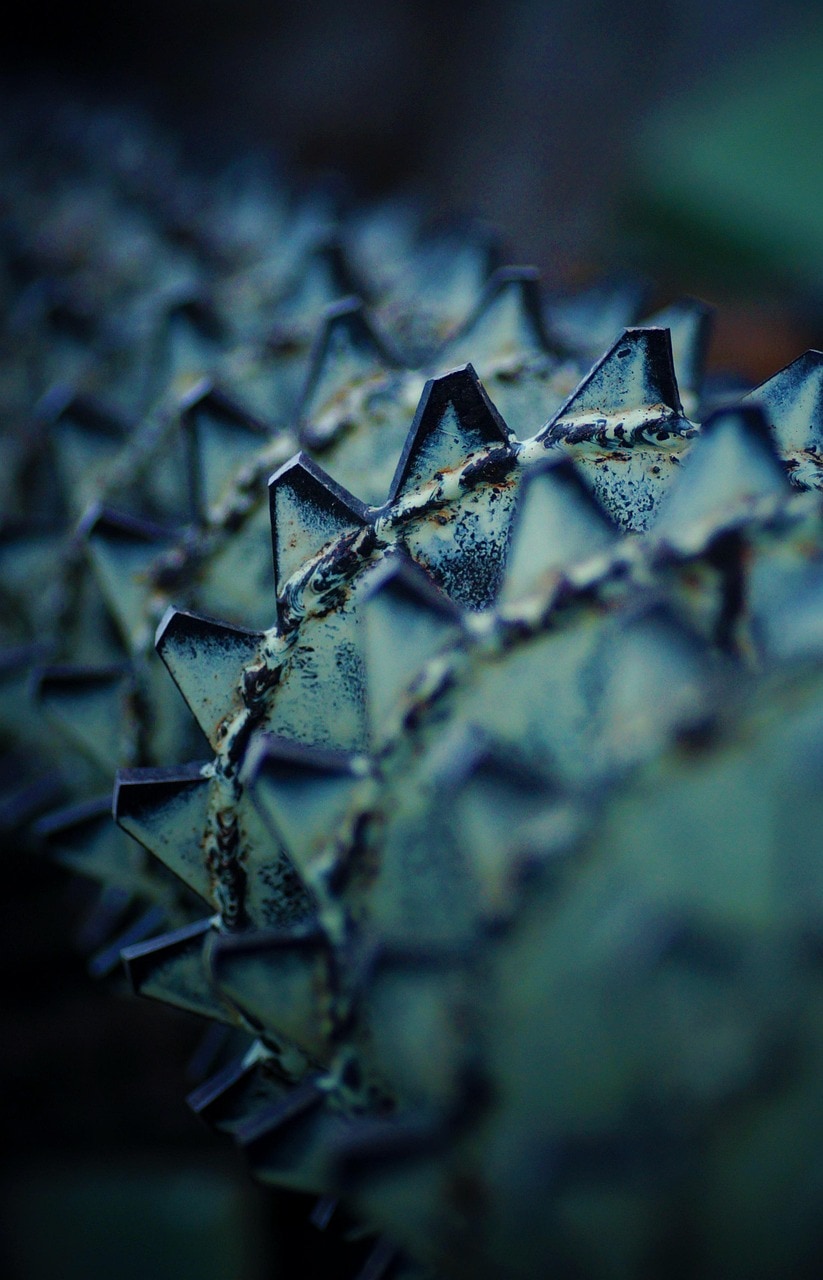 ECODUR Karbür (TCT) Şerit Testere